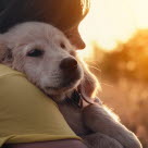 Dame som holder en valp