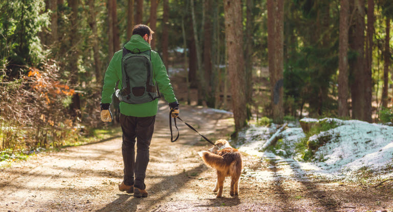 Mann og hund som går tur i skogen