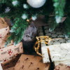 Katt under juletreet